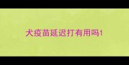 犬疫苗延迟打有用吗