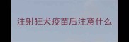 注射狂犬疫苗后注意什么