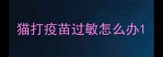 猫打疫苗过敏怎么办
