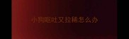 小狗呕吐又拉稀怎么办