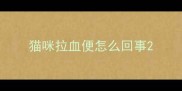 猫咪拉血便怎么回事