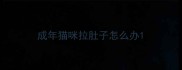 成年猫咪拉肚子怎么办