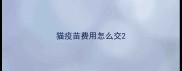 猫疫苗费用怎么交