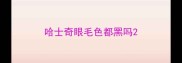 哈士奇眼毛色都黑吗