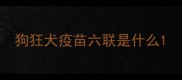 狗狂犬疫苗六联是什么
