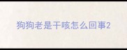 狗狗老是干咳怎么回事