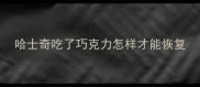 哈士奇吃了巧克力怎样才能恢复