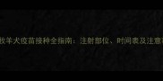 边境牧羊犬疫苗接种全指南注射部位时间表及注意事项