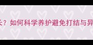 边牧毛发有多长如何科学养护避免打结与异味全攻略