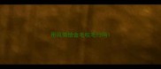 用风筒给金毛吹毛行吗