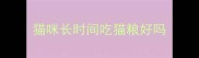 猫咪长时间吃猫粮好吗