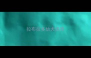 拉布拉多幼犬选择