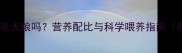 泰迪犬能吃金毛犬粮吗营养配比与科学喂养指南附换粮方案