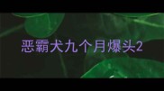 恶霸犬九个月爆头
