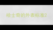 哈士奇的外表标准