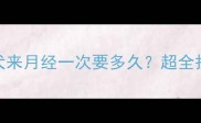 边境牧羊犬来月经一次要多久超全护理指南