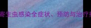 小狗寄生虫感染全症状预防与治疗指南