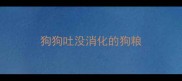 狗狗吐没消化的狗粮