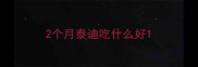 2个月泰迪吃什么好