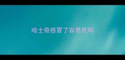 哈士奇感冒了容易死吗