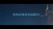 狗狗的唾液有细菌吗