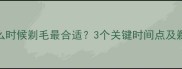 雪纳瑞什么时候剃毛最合适3个关键时间点及剃毛全攻略